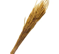 Online Othmar Decorations Trockenblumen