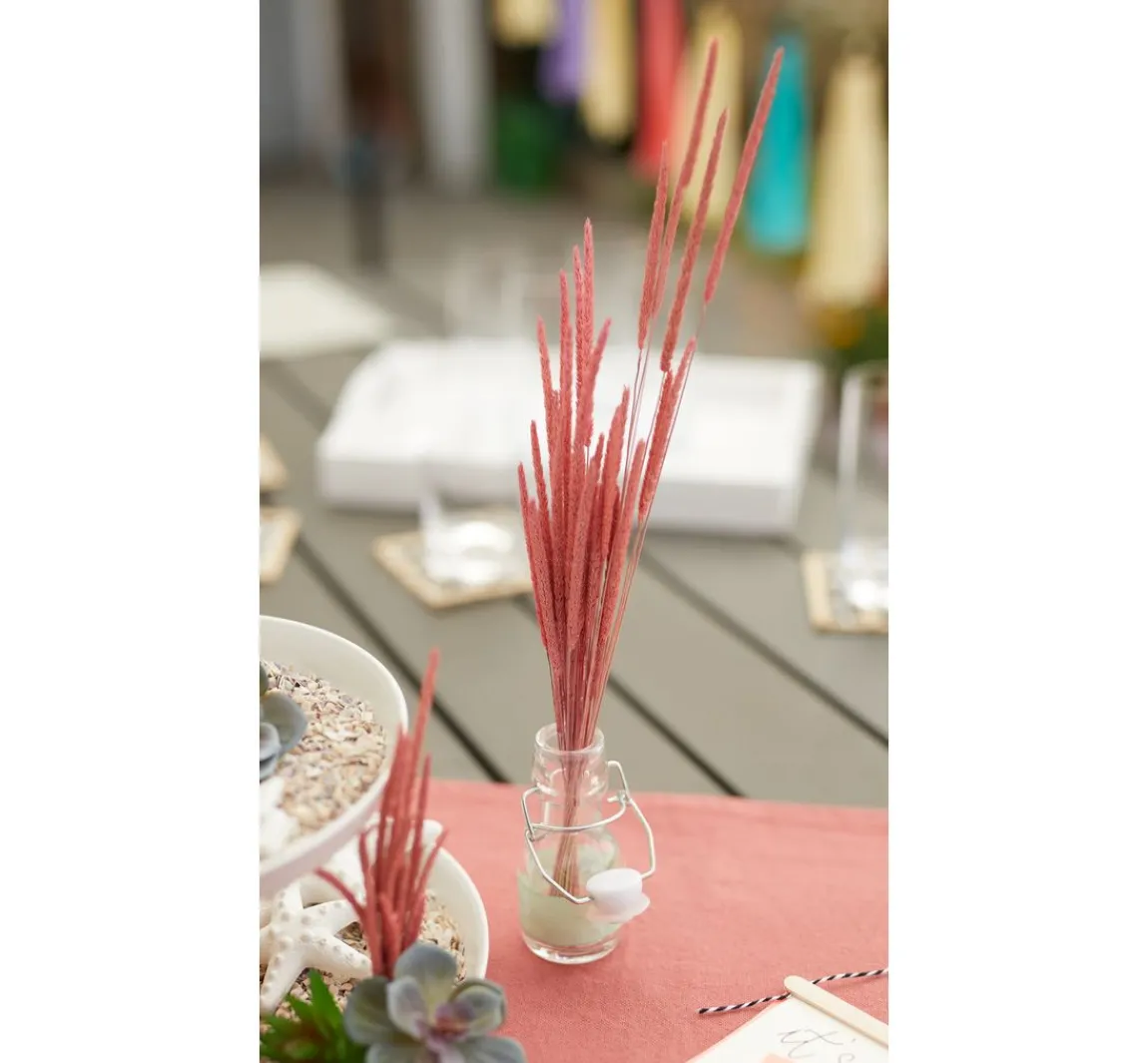 Online Othmar Decorations Trockenblumen "Phleum Pratensis"