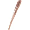Hot Othmar Decorations Trockenblumen "Sanmuga Grass"
