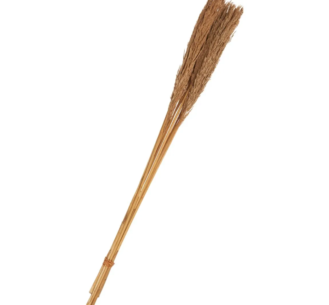 Hot Othmar Decorations Trockenblumen "Sanmuga Grass"