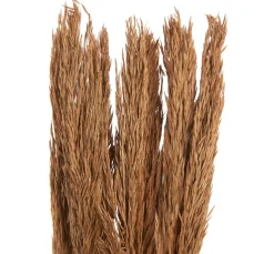Hot Othmar Decorations Trockenblumen