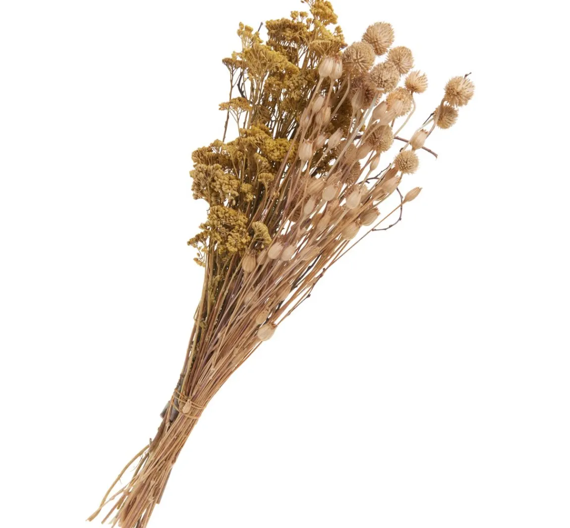 Othmar Decorations Trockenblumen Set "Distel"