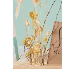 Othmar Decorations Trockenblumen Set