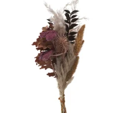 New Othmar Decorations Trockenblumen Set "Lilac"