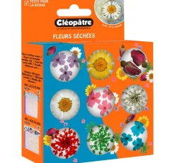 Outlet Cléopâtre Trockenblumen Sortiment, 9 Tiegel