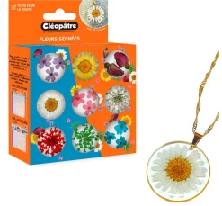Outlet Cléopâtre Trockenblumen Sortiment, 9 Tiegel