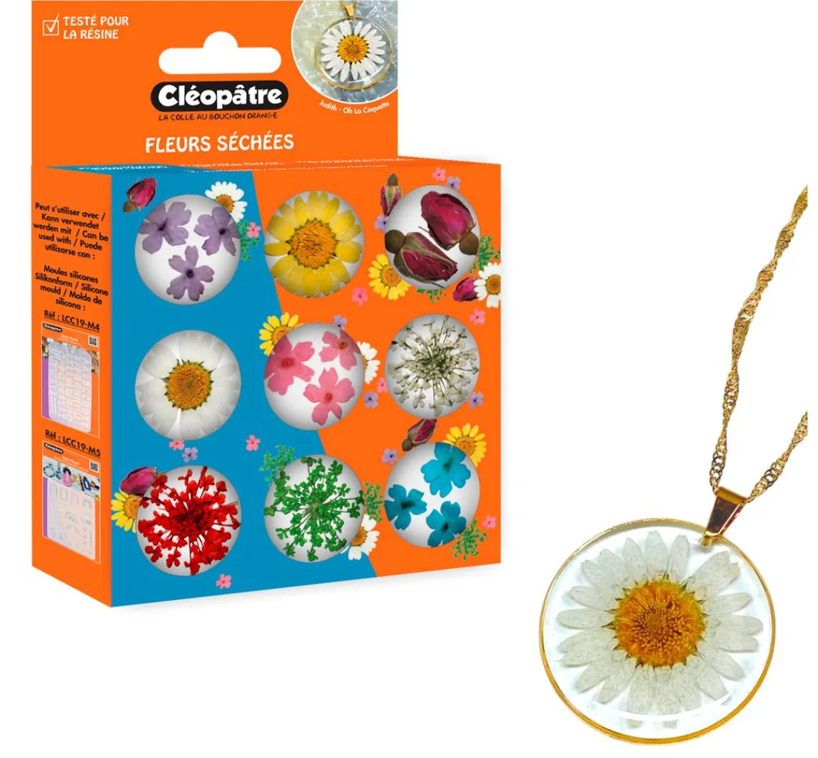 Outlet Cléopâtre Trockenblumen Sortiment, 9 Tiegel