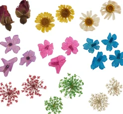 Outlet Cléopâtre Trockenblumen Sortiment, 9 Tiegel
