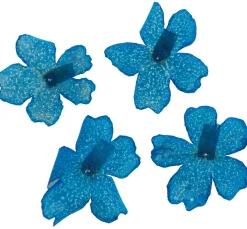 Outlet Cléopâtre Trockenblumen Sortiment, 9 Tiegel
