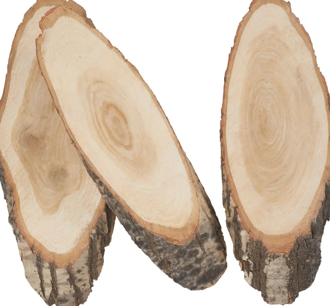 Clearance VBS Baumscheiben "Oval"