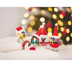 Outlet VBS Einsteiger-Set
