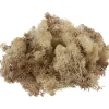 VBS Islandmoos, 100 g