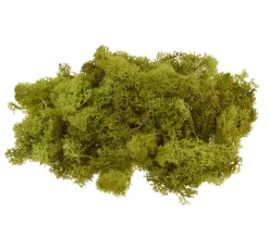 VBS Islandmoos, 100 g