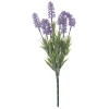 Best VBS Lavendel-Pick "Lavendula"