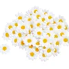 Clearance VBS Margeritenblüten, 50 Stück