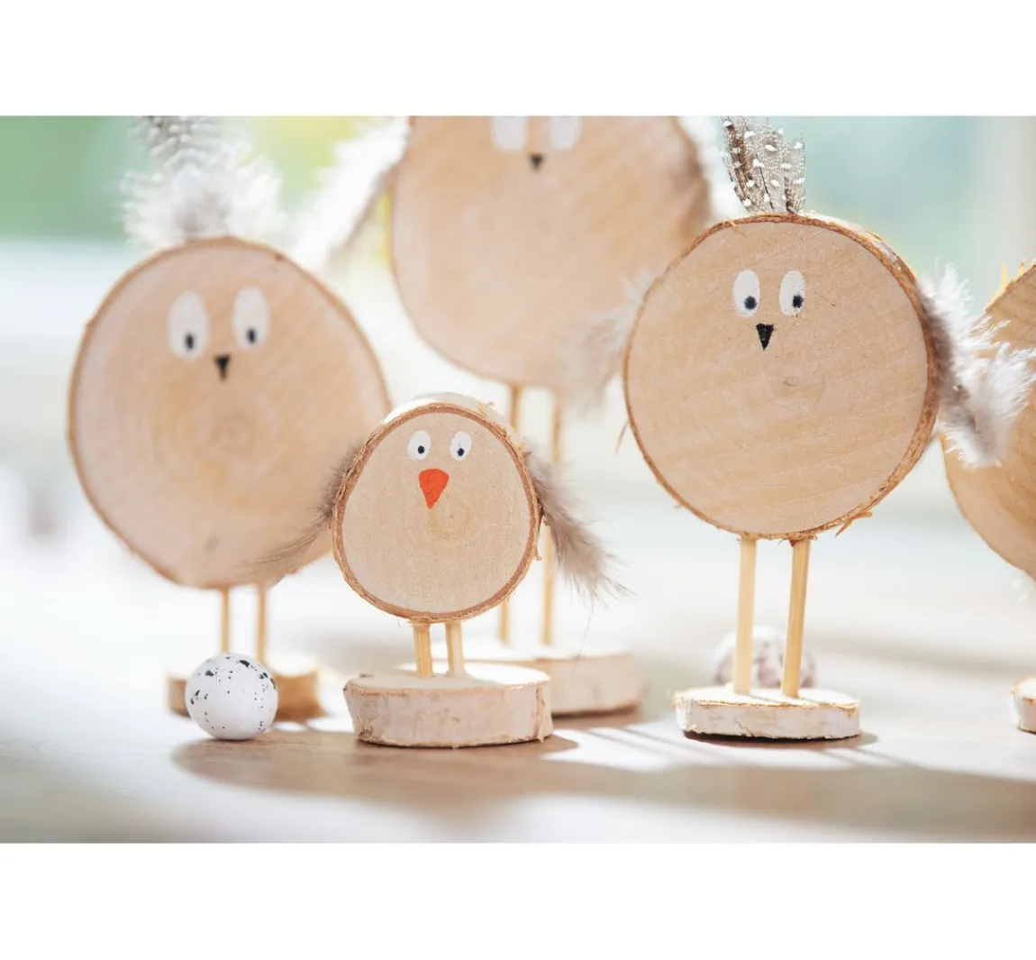 Discount VBS Mini-Rindenscheiben "Rund"