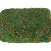 Discount VBS XXL VBS Moos, 750 g