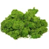 Hot VBS XXL VBS Moos, 1 kg