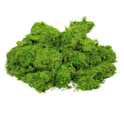 Hot VBS XXL VBS Moos, 1 kg