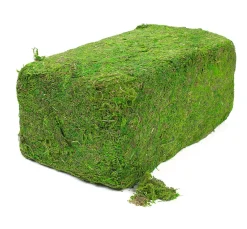 Hot VBS XXL VBS Moos, 1 kg