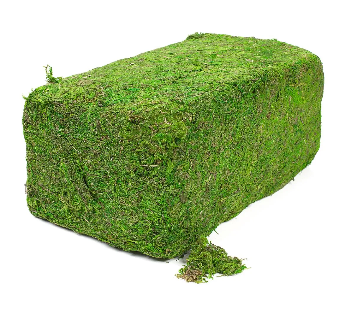 Hot VBS XXL VBS Moos, 1 kg