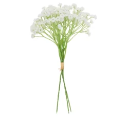 Discount VBS Schleierkraut Bund "Florissa"