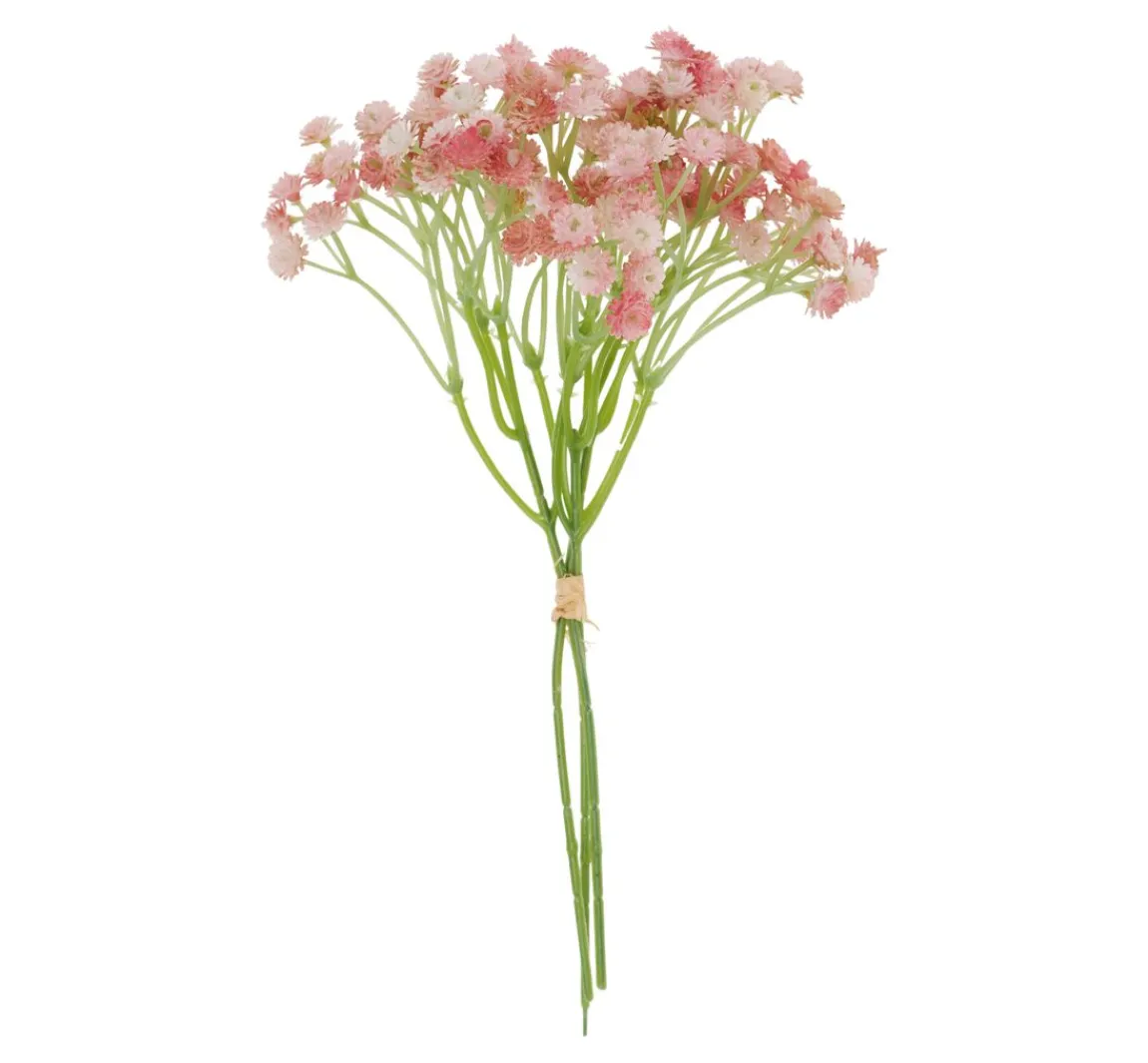 Discount VBS Schleierkraut Bund "Florissa"