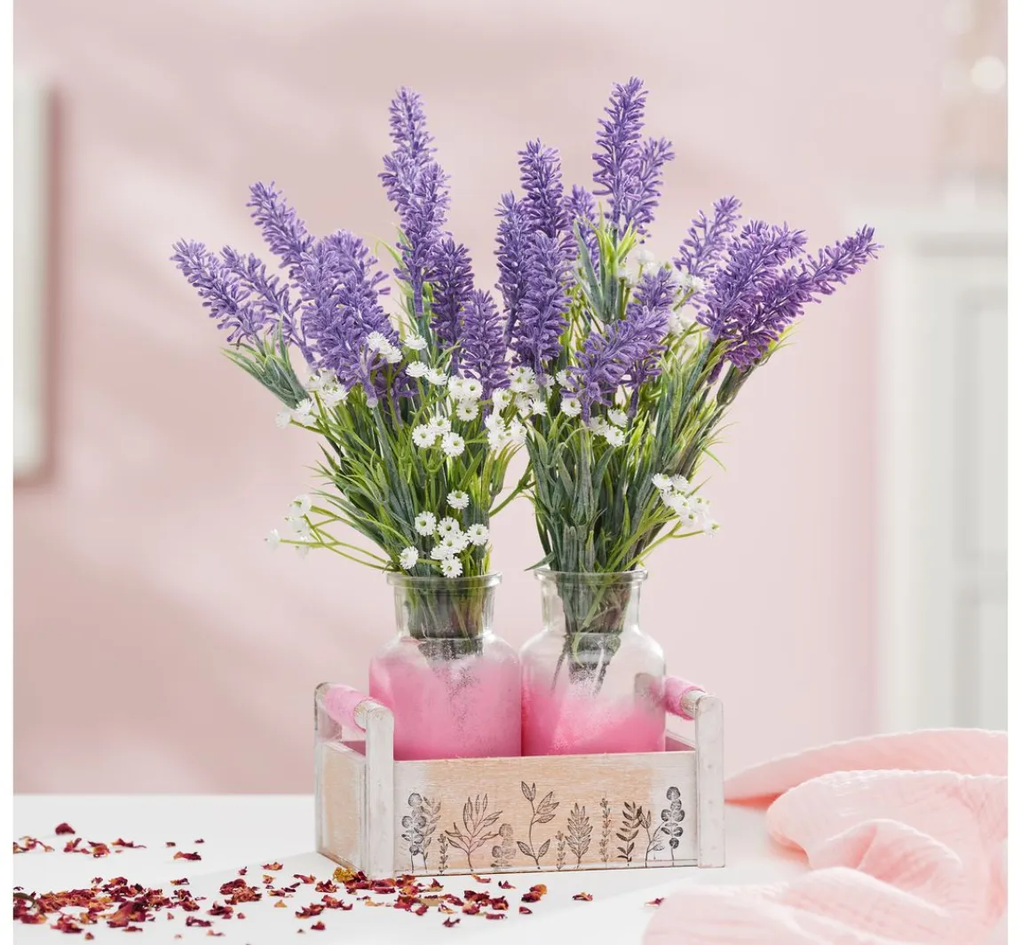 Discount VBS Schleierkraut Bund "Florissa"