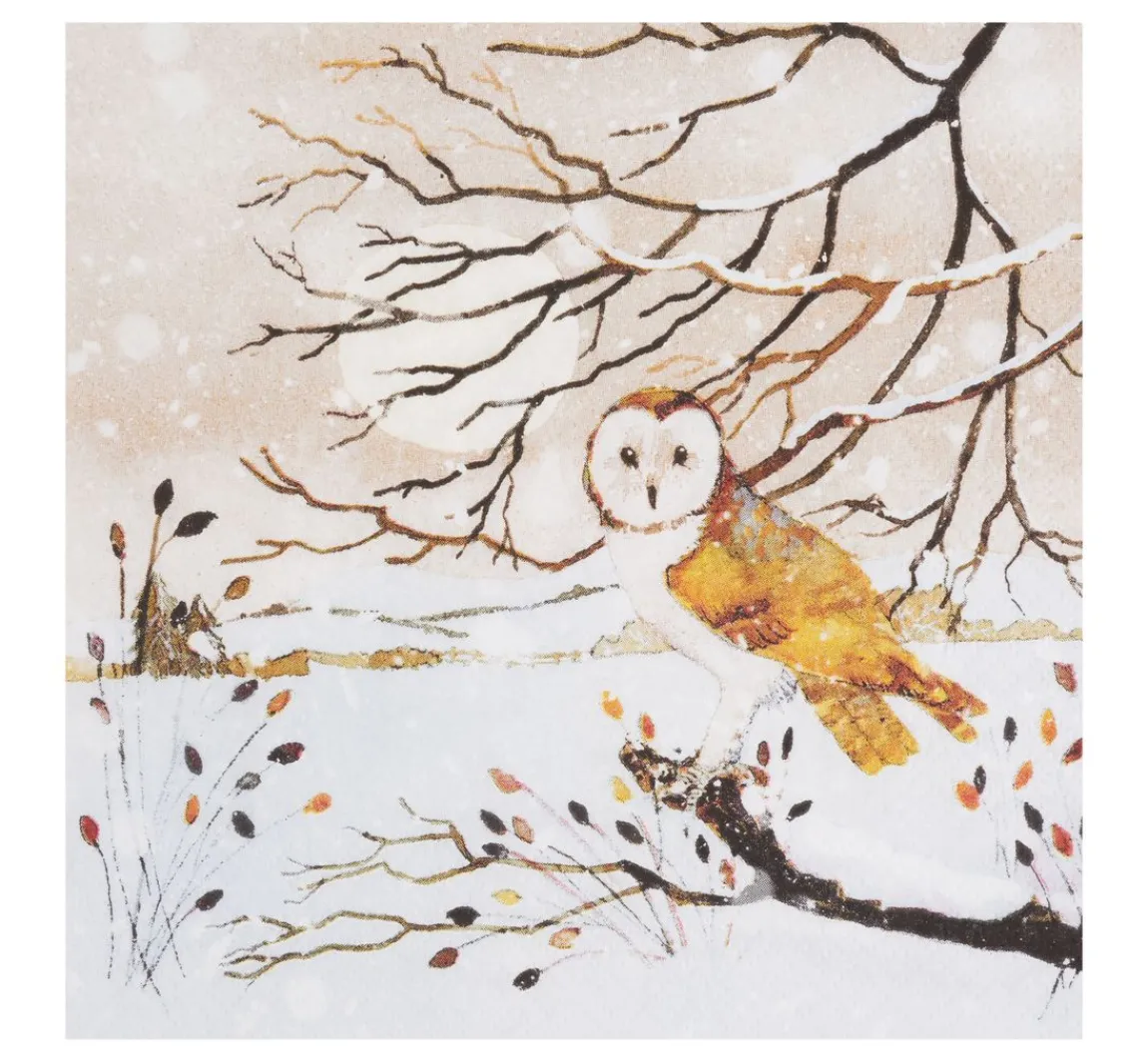 Best VBS Servietten-Set "Wintertime"