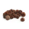 Online VBS Tannenzapfen, 250 g