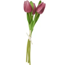 Clearance VBS Tulpe "Tammie"
