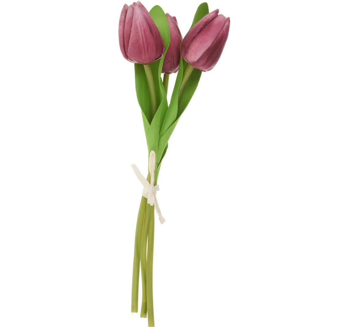 Clearance VBS Tulpe "Tammie"