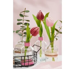 Clearance VBS Tulpe "Tammie"