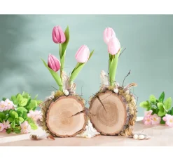 Clearance VBS Tulpe