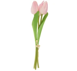 Clearance VBS Tulpe