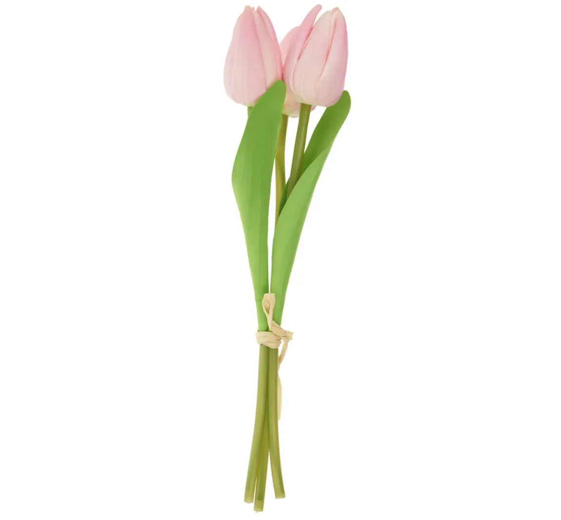 Clearance VBS Tulpe "Tammie"