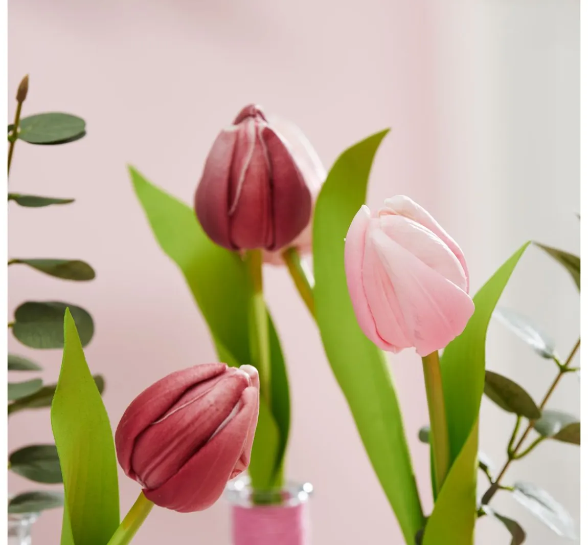 Clearance VBS Tulpe "Tammie"