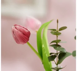 Clearance VBS Tulpe