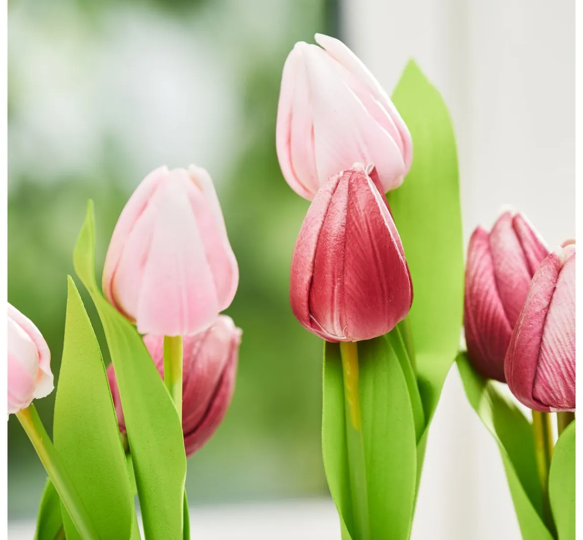 Clearance VBS Tulpe "Tammie"
