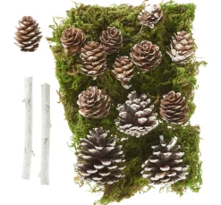 New VBS Wald Potpourri-Mix