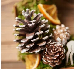 New VBS Wald Potpourri-Mix