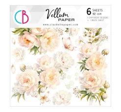 New Ciao Bella Vellum Paper "Always & Forever"
