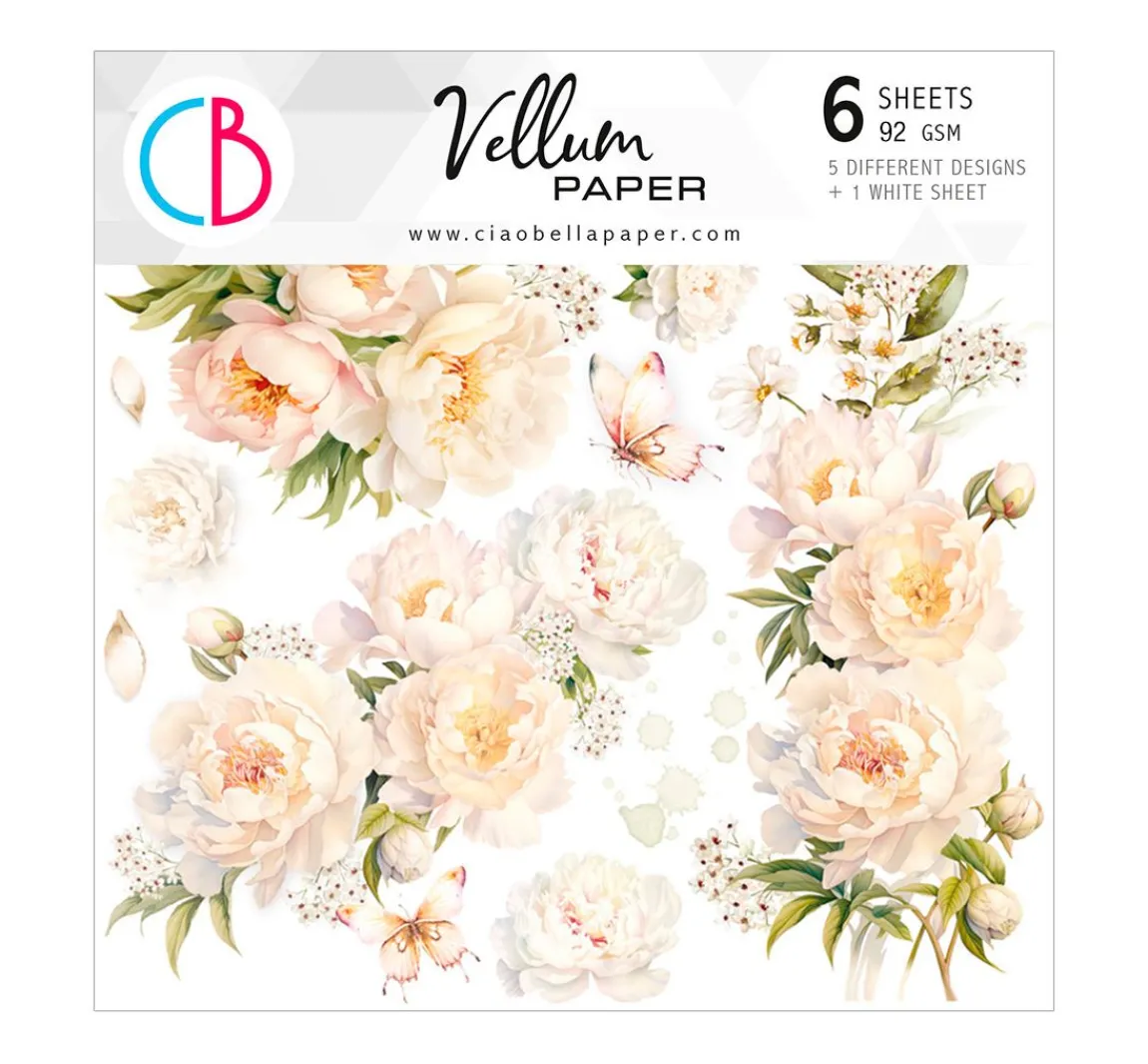 New Ciao Bella Vellum Paper "Always & Forever"