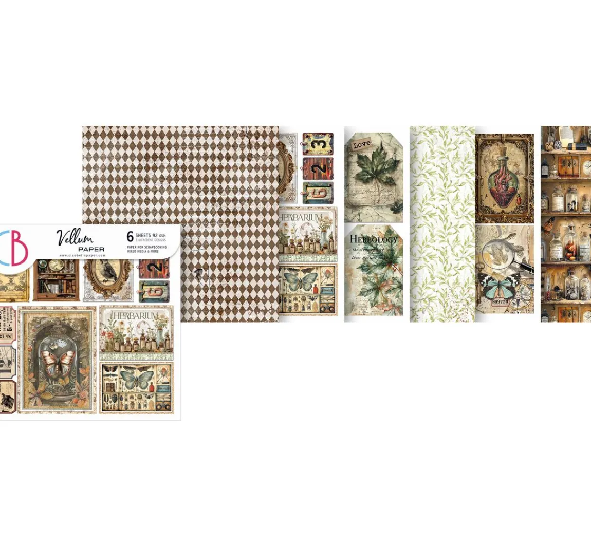 Best Ciao Bella Vellum Paper "Cabinet of Curiosities"