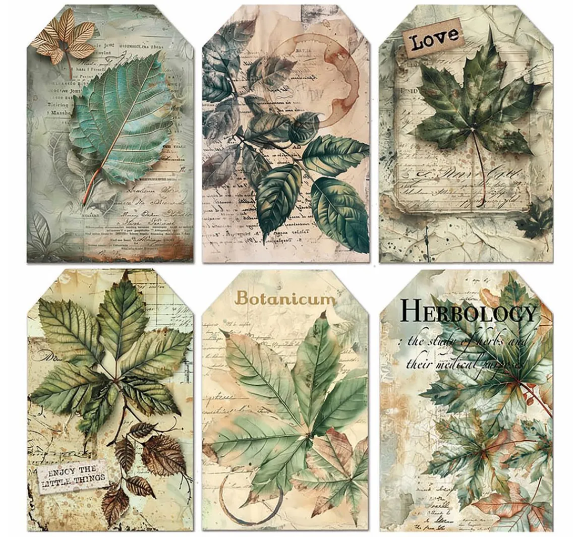 Best Ciao Bella Vellum Paper "Cabinet of Curiosities"