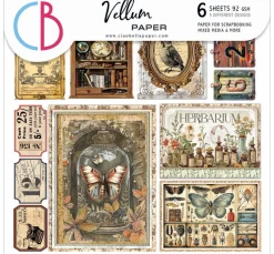 Best Ciao Bella Vellum Paper