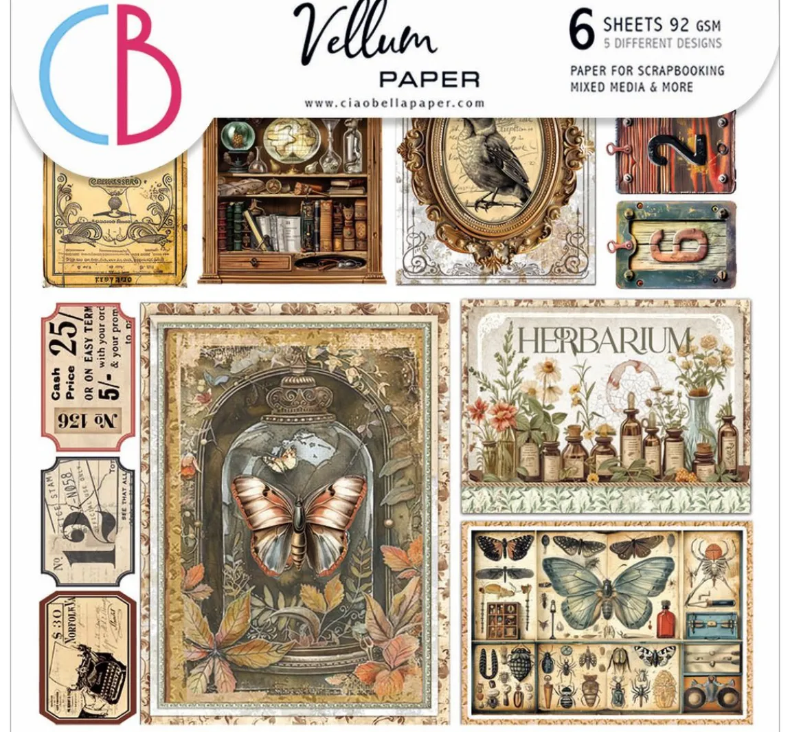 Best Ciao Bella Vellum Paper "Cabinet of Curiosities"