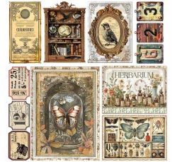 Best Ciao Bella Vellum Paper