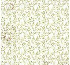 Best Ciao Bella Vellum Paper