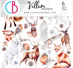 Clearance Ciao Bella Vellum Paper "Winter Journey"